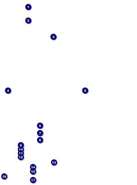 Cricket Flyer Front Field Markers