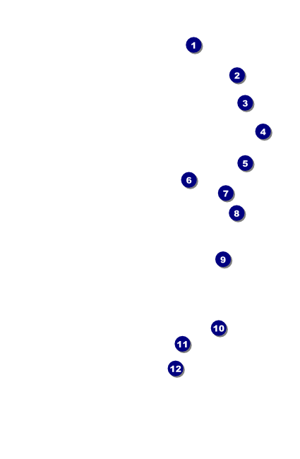 Nebraska Drink Ticket Front Field Markers