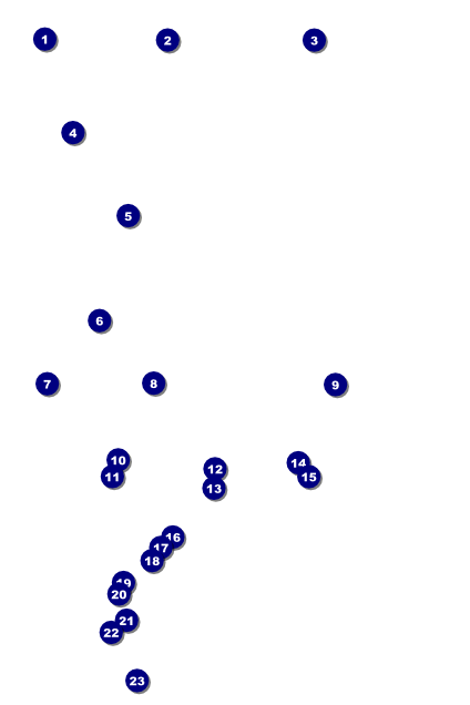 Class Reunion Poster Front Field Markers