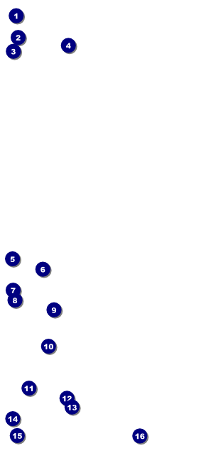 Home Show VIP Pass Front Field Markers