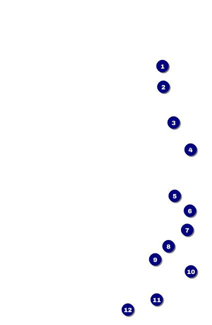 Classic Black Pinstripe Drink Ticket Front Field Markers