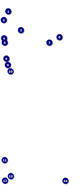 Baseball Camp VIP Pass Front Field Markers