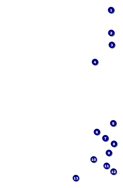 Prism Tree Drink Ticket Front Field Markers