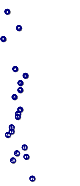 Abstract VIP Pass Front Field Markers