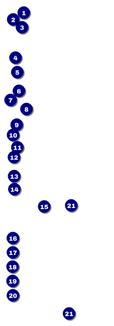 Cinderella Raffle Ticket Front Field Markers