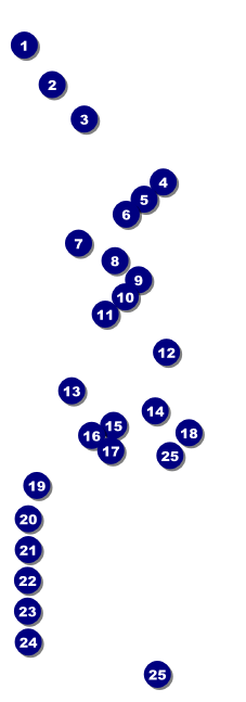 Winter Cut Paper Raffle Ticket Front Field Markers