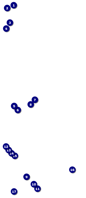 All Purpose Angle VIP Pass Front Field Markers
