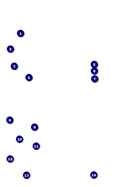 All Purpose Hex Drink Ticket Front Field Markers