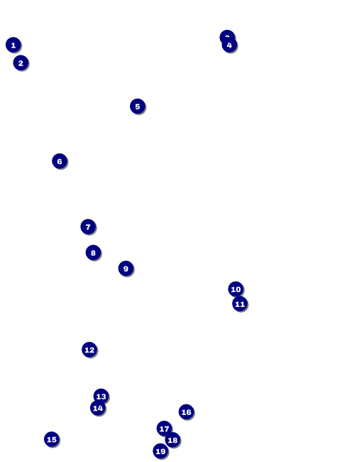 All Purpose Circle Flyer Front Field Markers