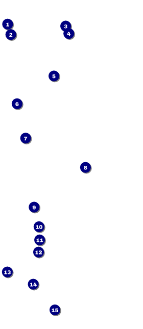 All Purpose Circle VIP Pass Front Field Markers