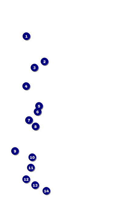 Diamonds Black Drink Ticket Front Field Markers