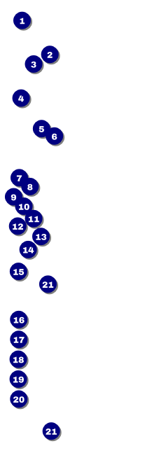 Diamonds Black Raffle Ticket Front Field Markers